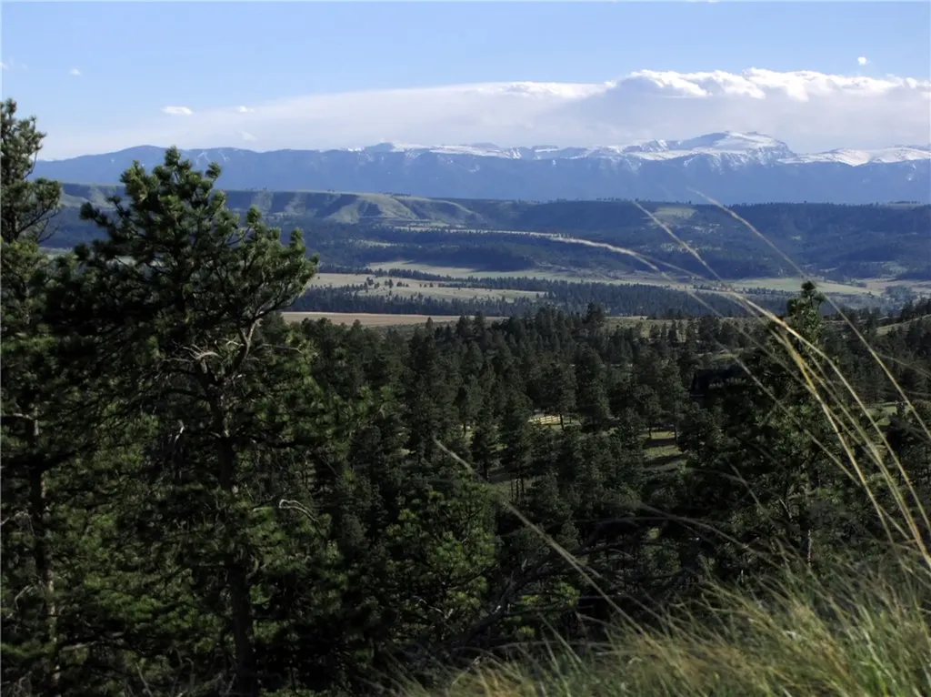 Nhn Wild Turkey Ridge Road Columbus MT 59019