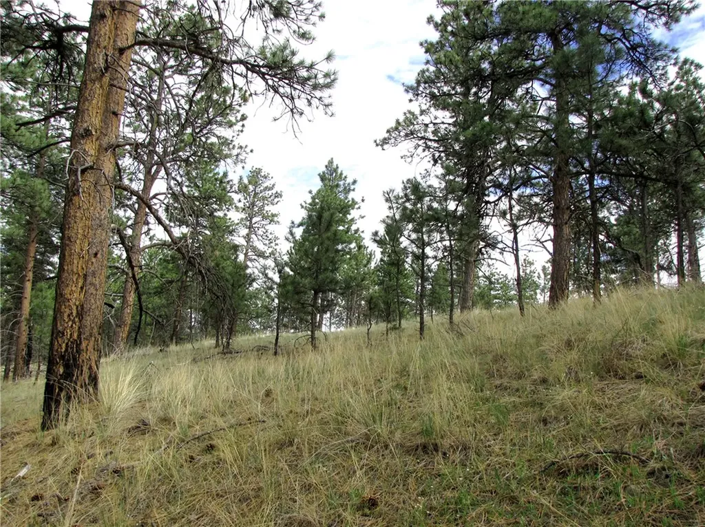 Nhn Wild Turkey Ridge Road Columbus MT 59019