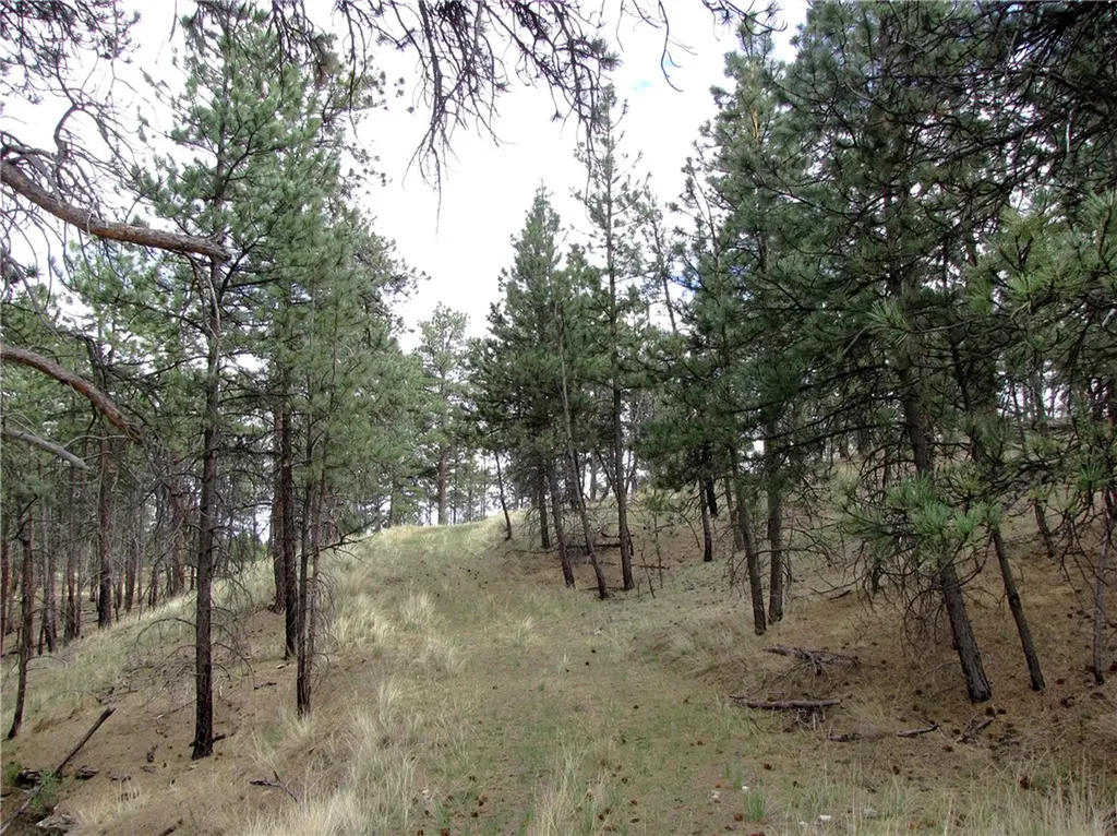 Nhn Wild Turkey Ridge Road Columbus MT 59019