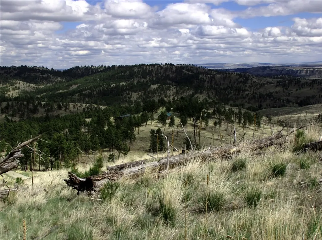 Nhn Wild Turkey Ridge Road Columbus MT 59019