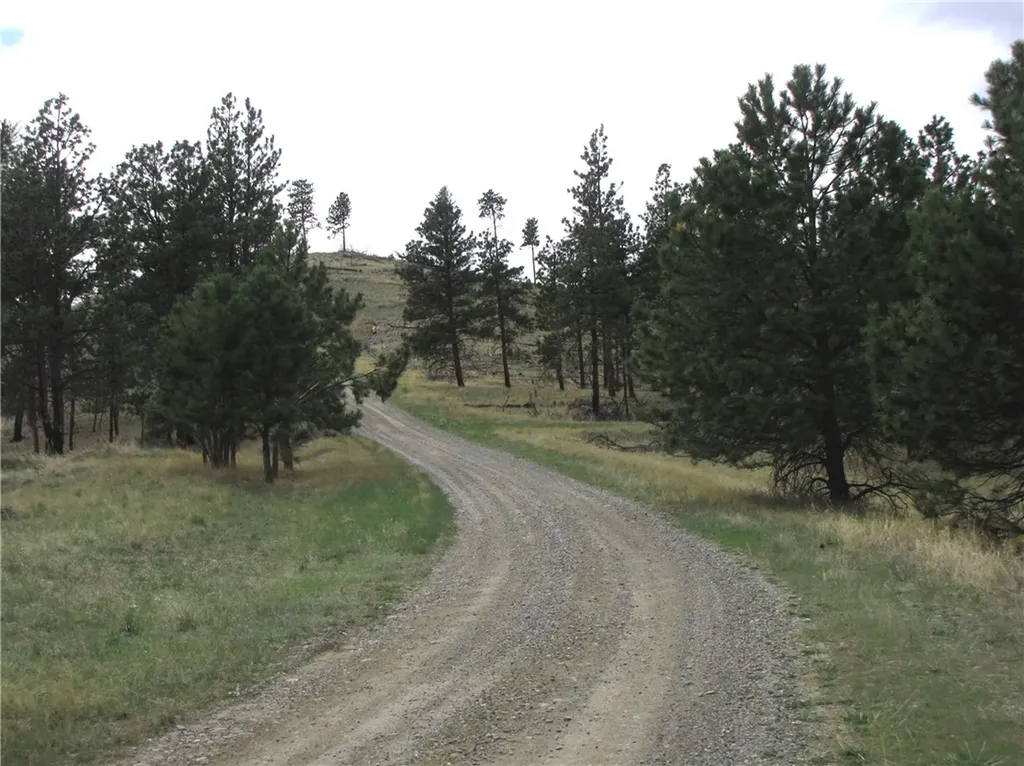 Nhn Wild Turkey Ridge Road Columbus MT 59019