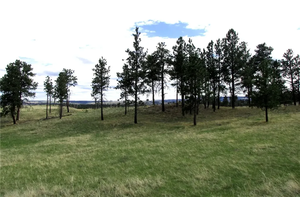 Nhn Wild Turkey Ridge Road Columbus MT 59019