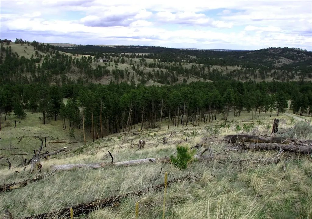 Nhn Wild Turkey Ridge Road Columbus MT 59019