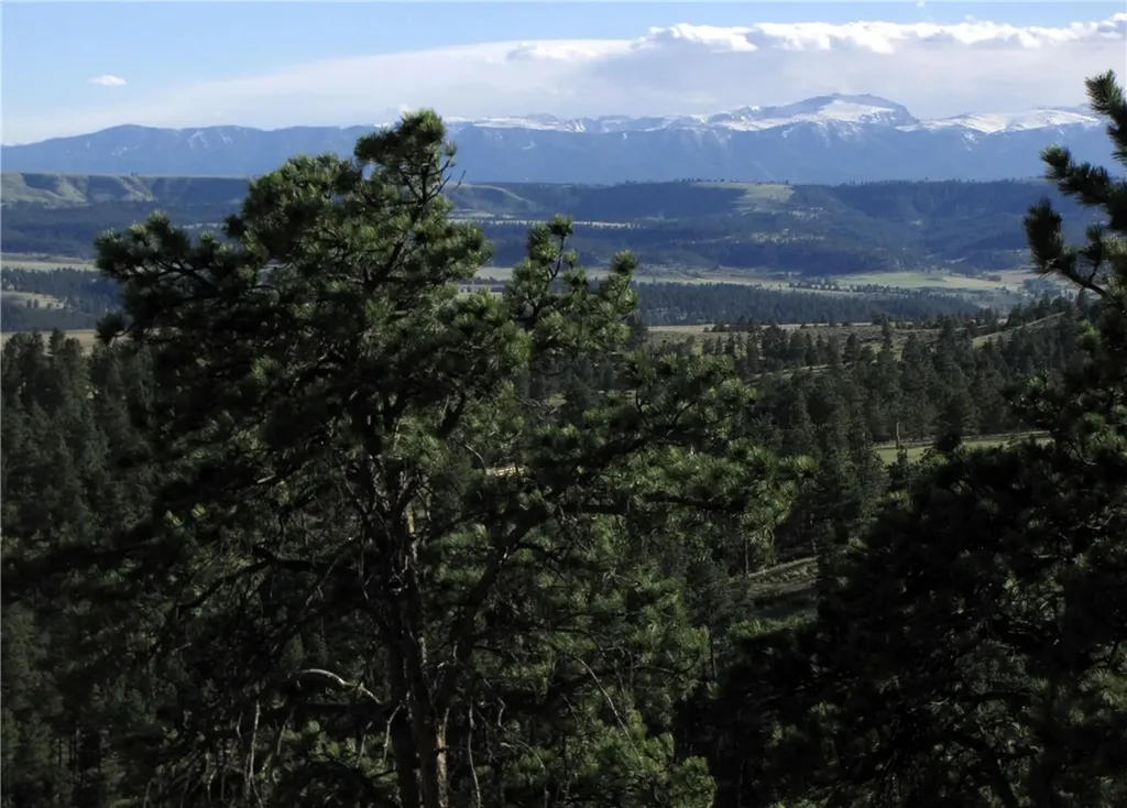 Nhn Wild Turkey Ridge Road Columbus MT 59019