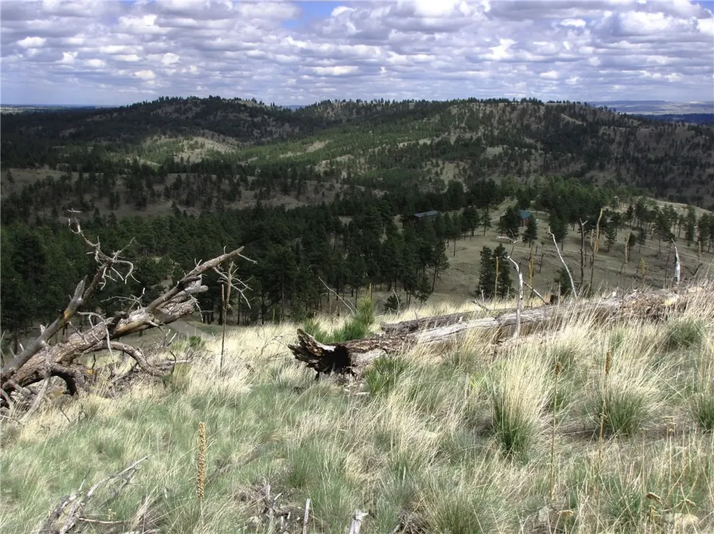 Nhn Wild Turkey Ridge Road Columbus MT 59019