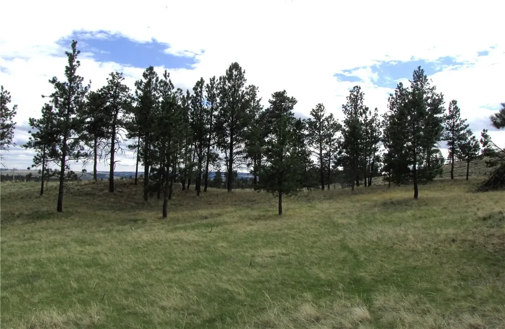Nhn Wild Turkey Ridge Road Columbus MT 59019