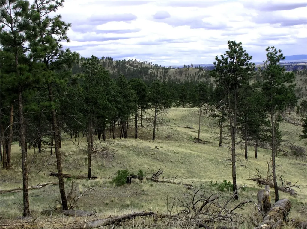 Nhn Wild Turkey Ridge Road Columbus MT 59019