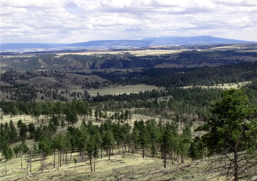 Nhn Wild Turkey Ridge Road Columbus MT 59019