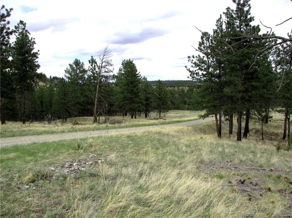 Nhn Wild Turkey Ridge Road Columbus MT 59019