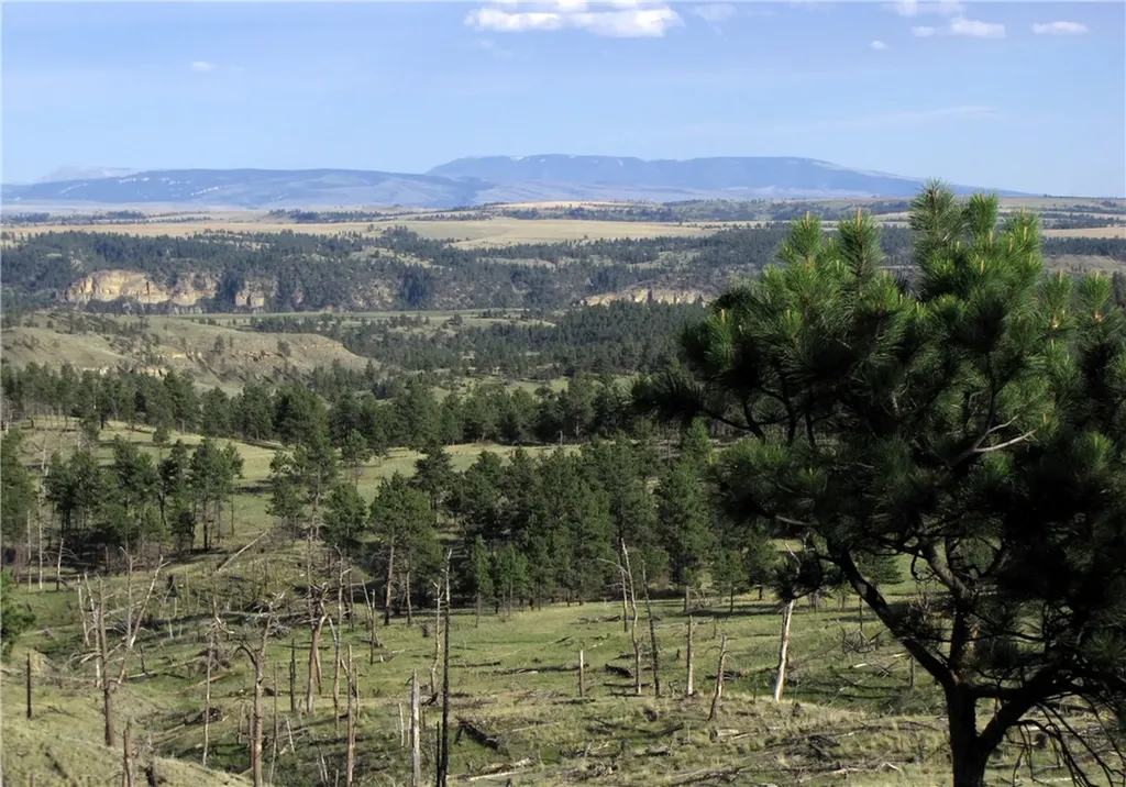 Nhn Wild Turkey Ridge Road Columbus MT 59019