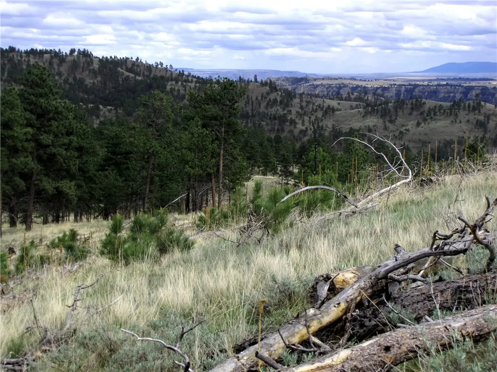 Nhn Wild Turkey Ridge Road Columbus MT 59019
