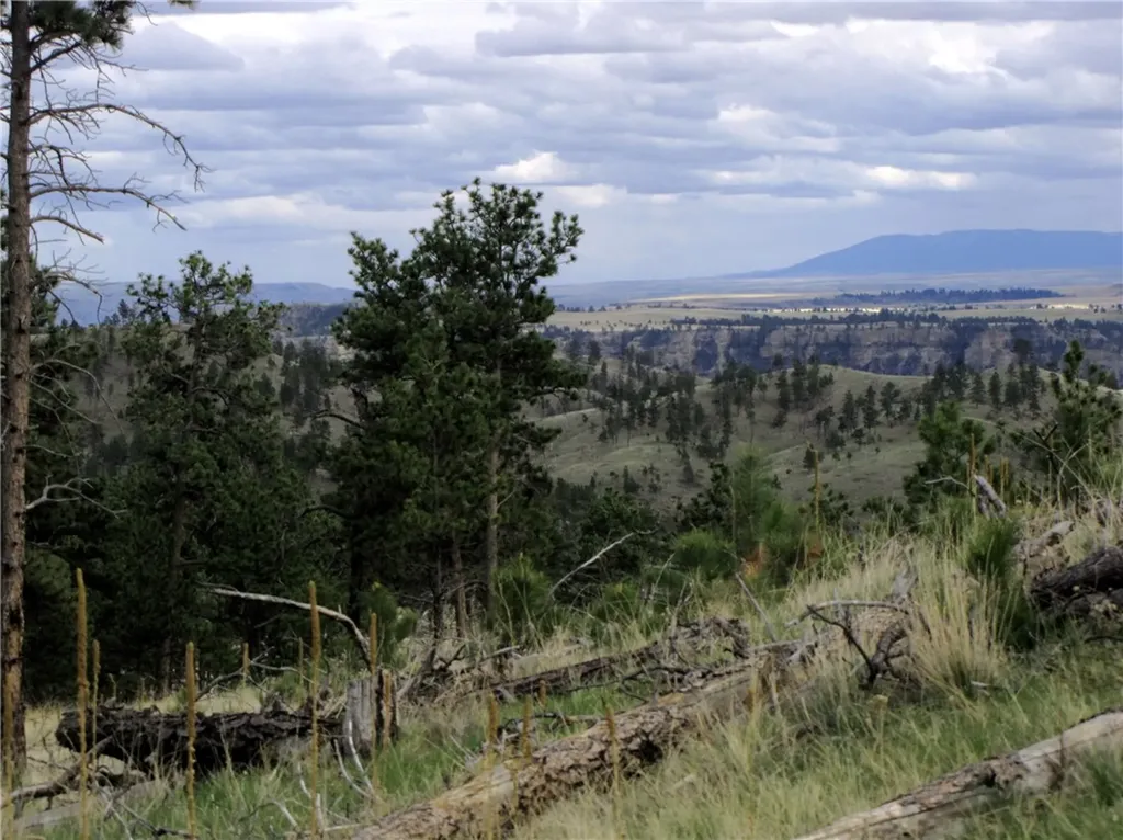 Nhn Wild Turkey Ridge Road Columbus MT 59019