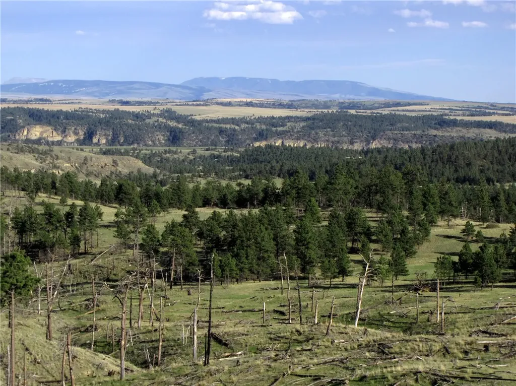 Nhn Wild Turkey Ridge Road Columbus MT 59019