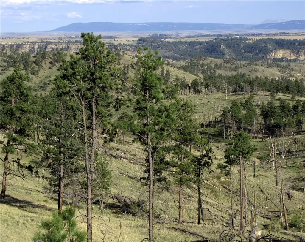 Nhn Wild Turkey Ridge Road Columbus MT 59019