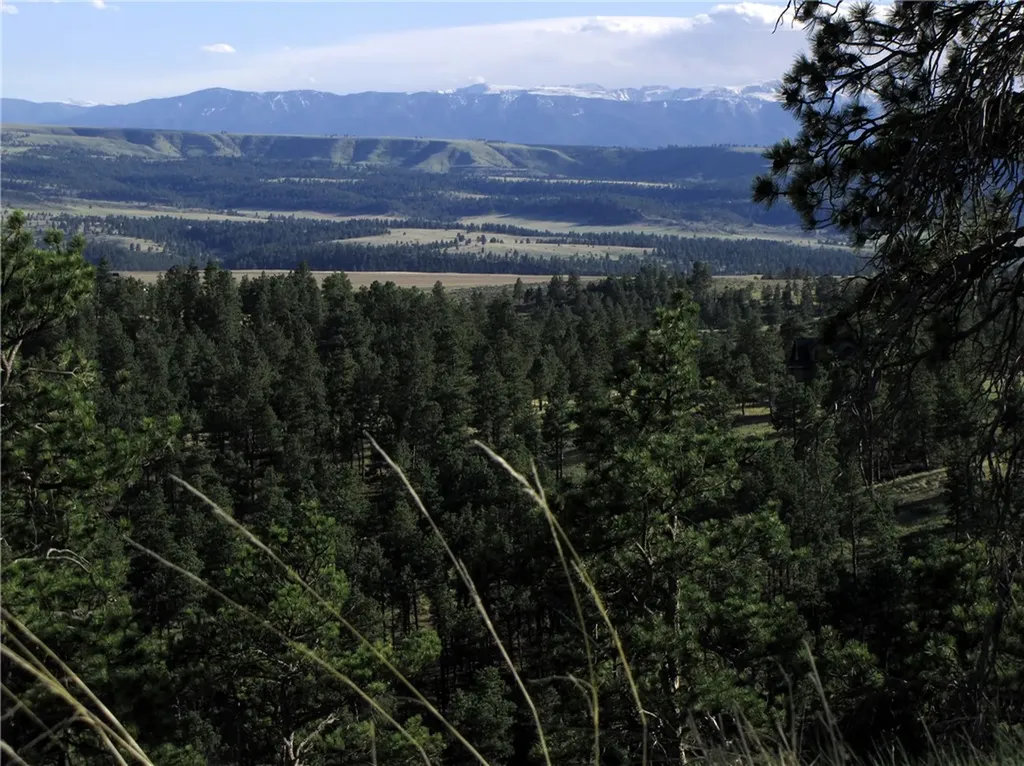 Nhn Wild Turkey Ridge Road Columbus MT 59019