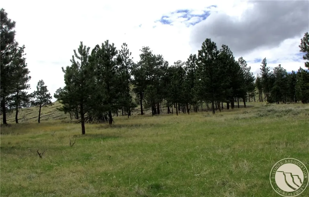 Nhn Wild Turkey Ridge Road Columbus MT 59019