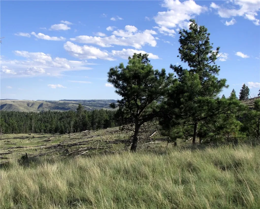 Nhn Wild Turkey Ridge Road Columbus MT 59019