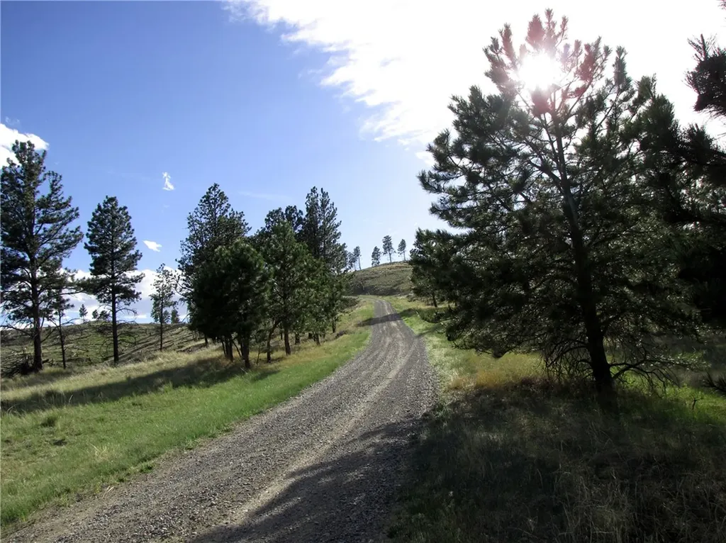 Nhn Wild Turkey Ridge Road Columbus MT 59019