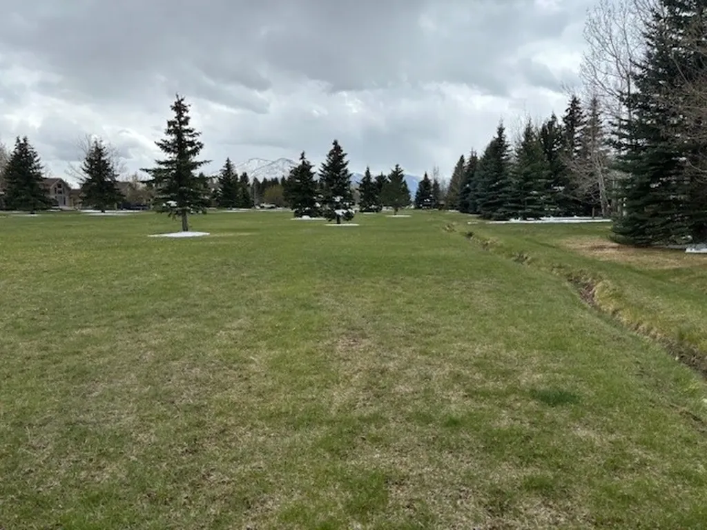 8 Jack Lackey Lane Red Lodge MT 59068
