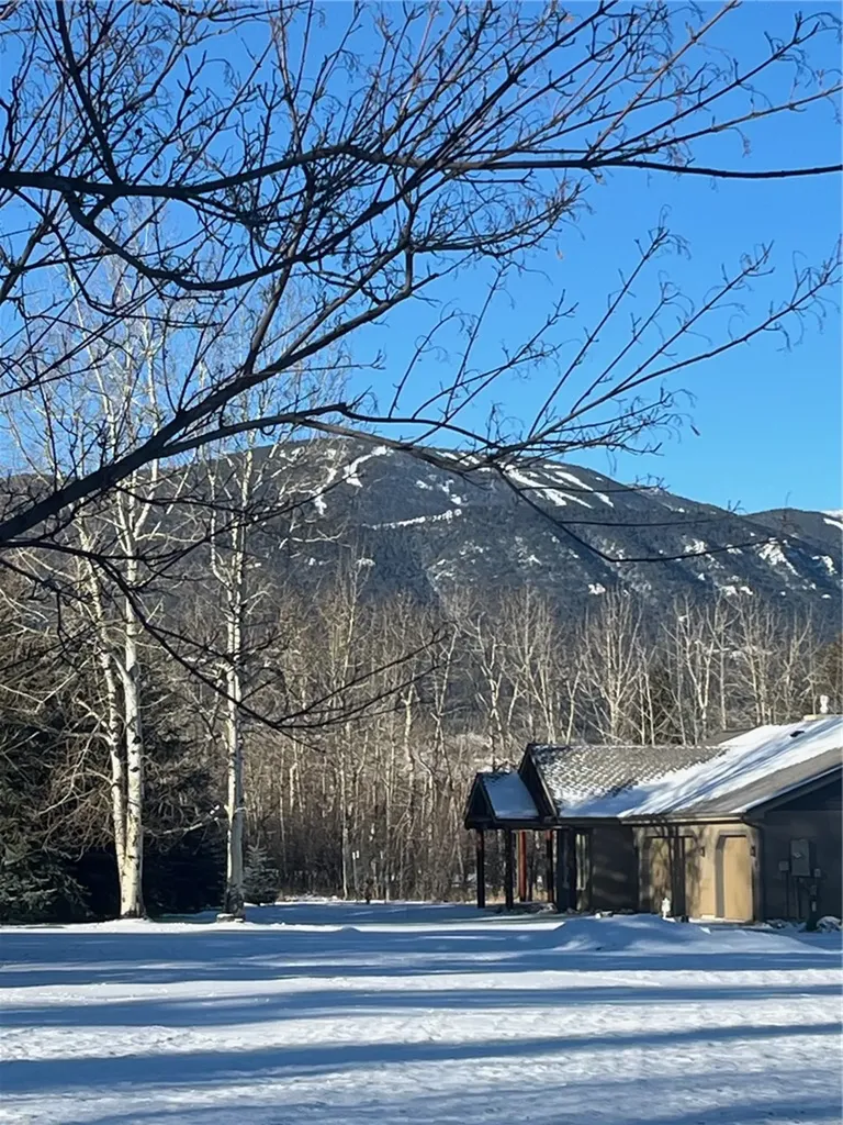 8 Jack Lackey Lane Red Lodge MT 59068