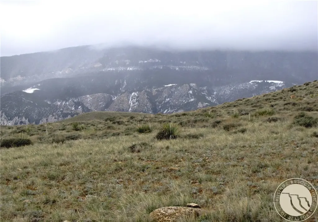 Nhn Deadman Creek Road Bridger MT 59014