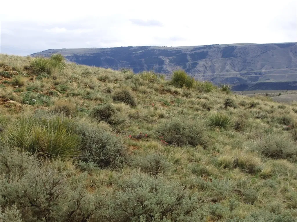 Nhn Deadman Creek Road Bridger MT 59014
