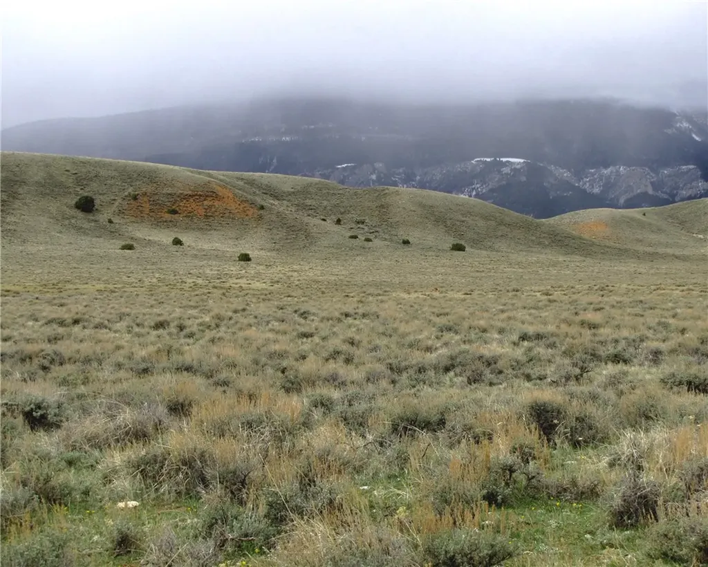 Nhn Deadman Creek Road Bridger MT 59014