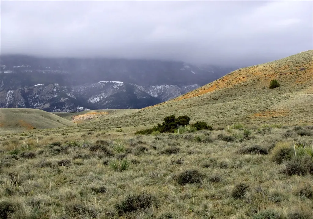 Nhn Deadman Creek Road Bridger MT 59014