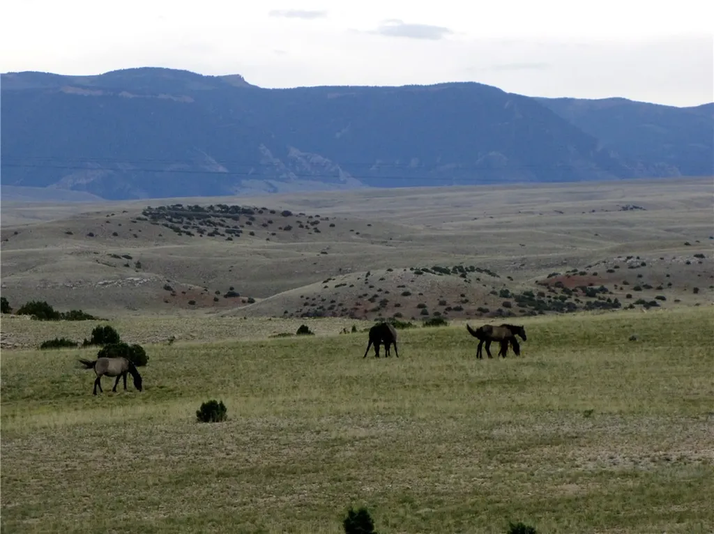 Nhn Deadman Creek Road Bridger MT 59014
