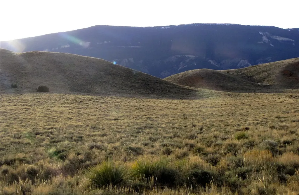 Nhn Deadman Creek Road Bridger MT 59014