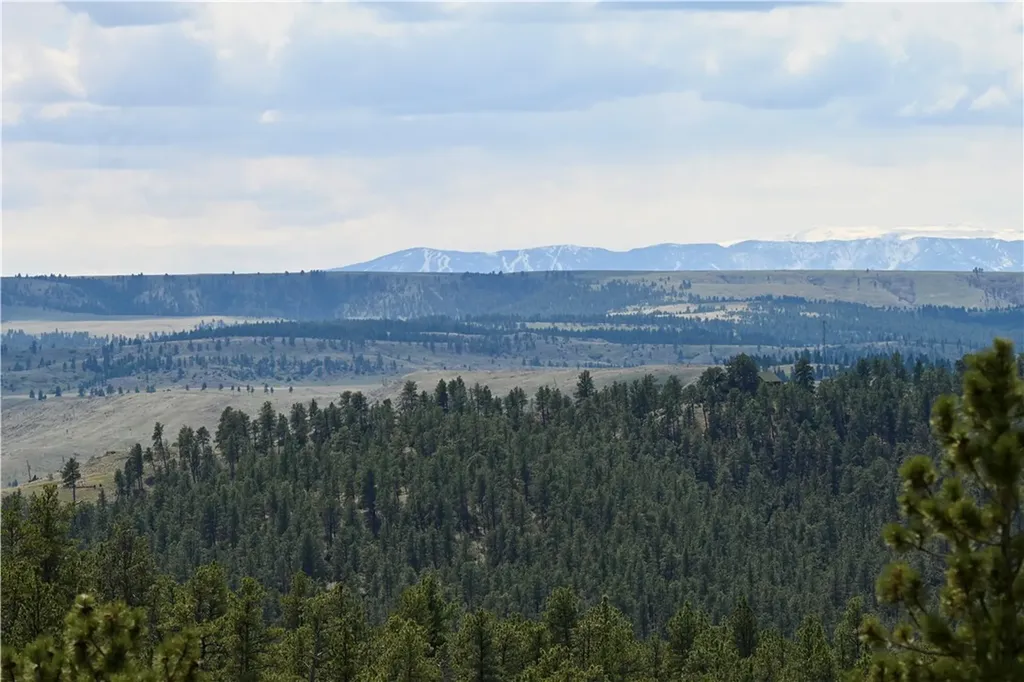 22 Whitetail Lane Columbus MT 59019