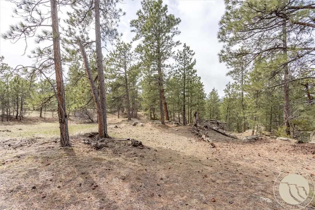 2860 Chief White Bird Trail Billings MT 59044