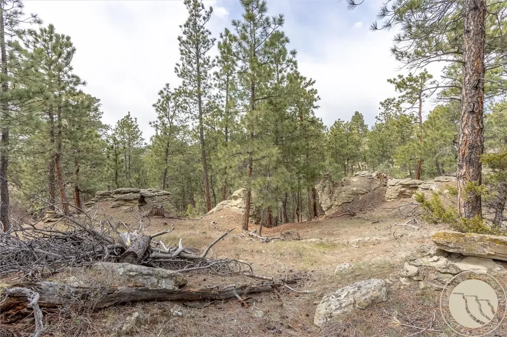 2860 Chief White Bird Trail Billings MT 59044