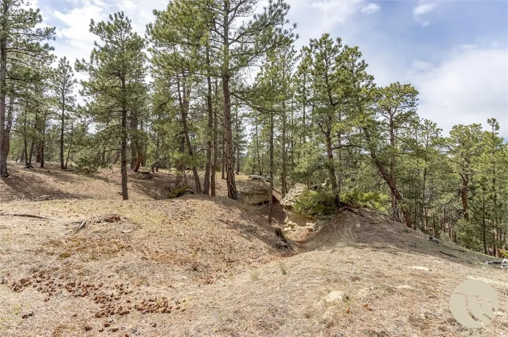 2860 Chief White Bird Trail Billings MT 59044
