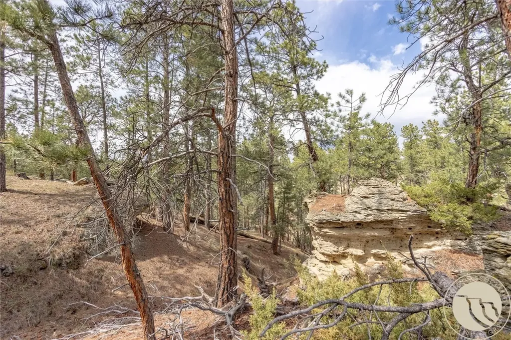 2860 Chief White Bird Trail Billings MT 59044