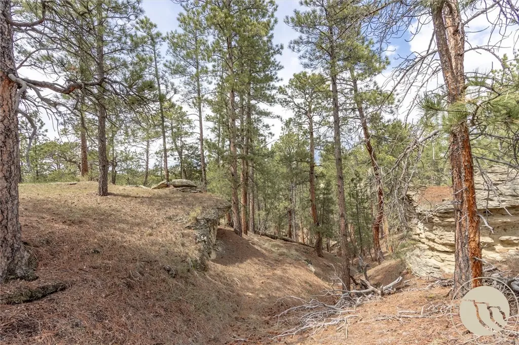 2860 Chief White Bird Trail Billings MT 59044