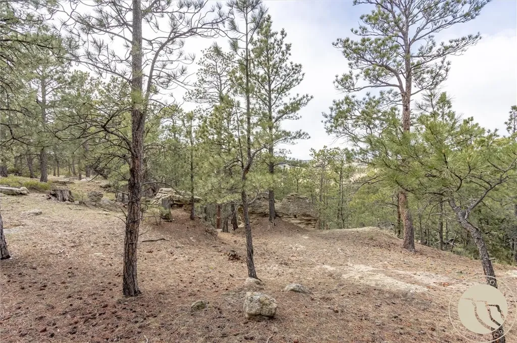 2860 Chief White Bird Trail Billings MT 59044