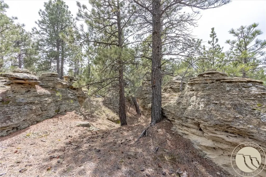 2860 Chief White Bird Trail Billings MT 59044