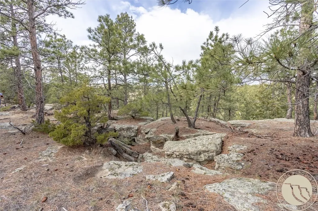 2860 Chief White Bird Trail Billings MT 59044