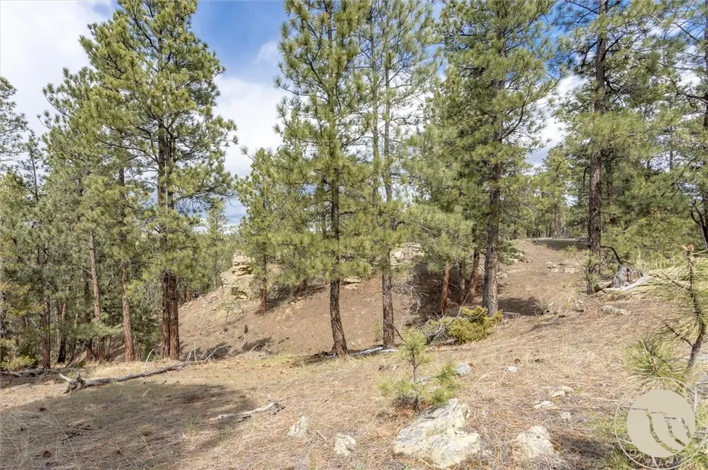 2860 Chief White Bird Trail Billings MT 59044