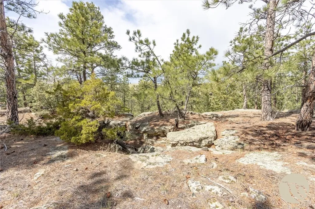 2860 Chief White Bird Trail Billings MT 59044
