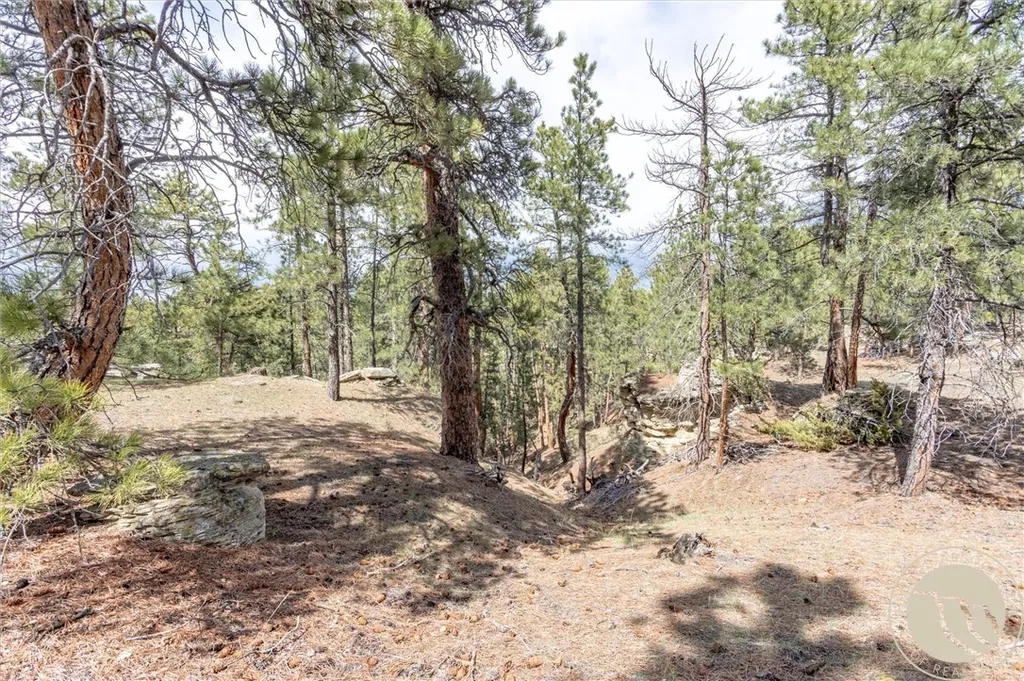 2860 Chief White Bird Trail Billings MT 59044