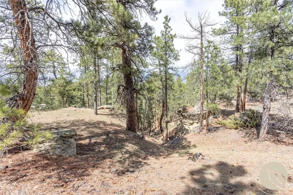 2860 Chief White Bird Trail Billings MT 59044