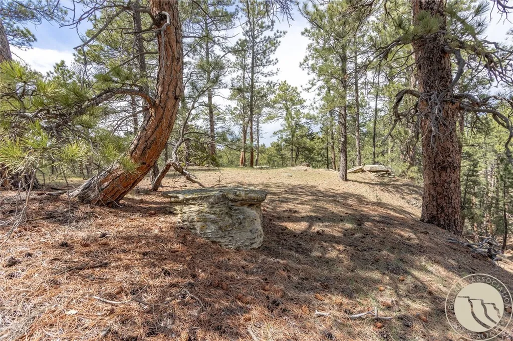 2860 Chief White Bird Trail Billings MT 59044