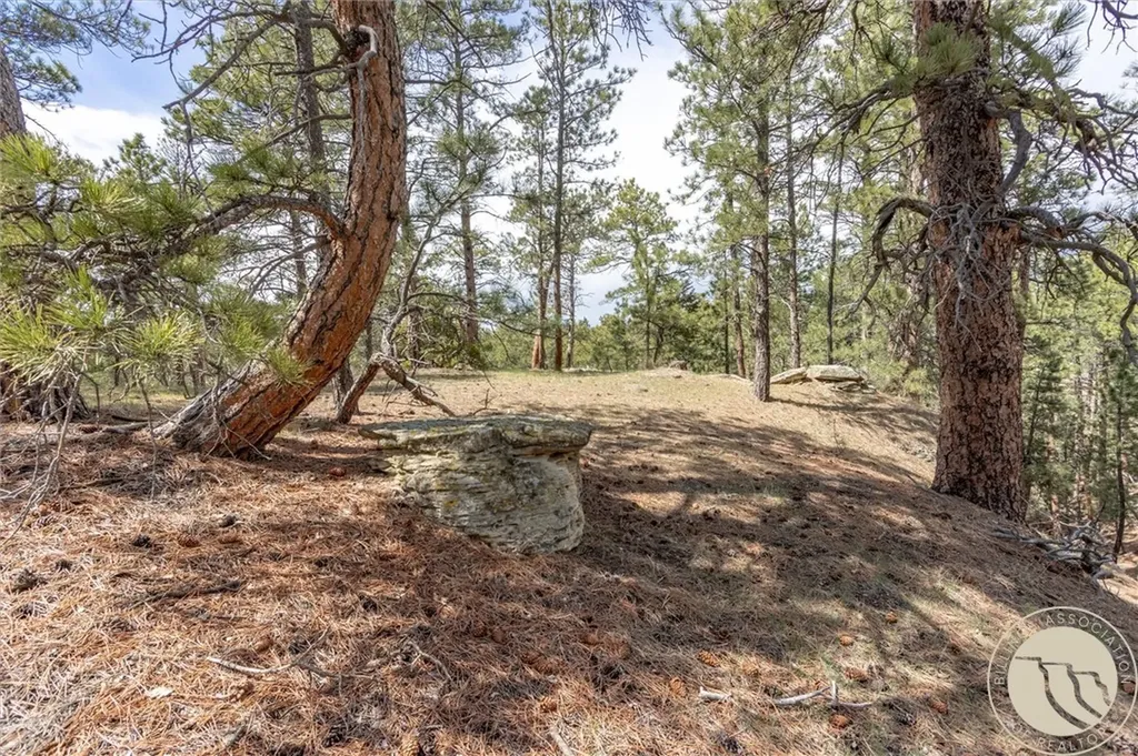 2860 Chief White Bird Trail Billings MT 59044