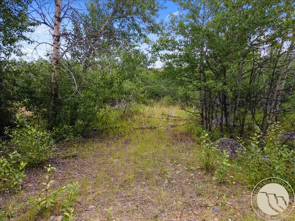 Tract 1a Rock Creek Trail S. Red Lodge MT 59068