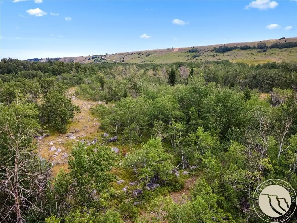 Tract 1a Rock Creek Trail S. Red Lodge MT 59068