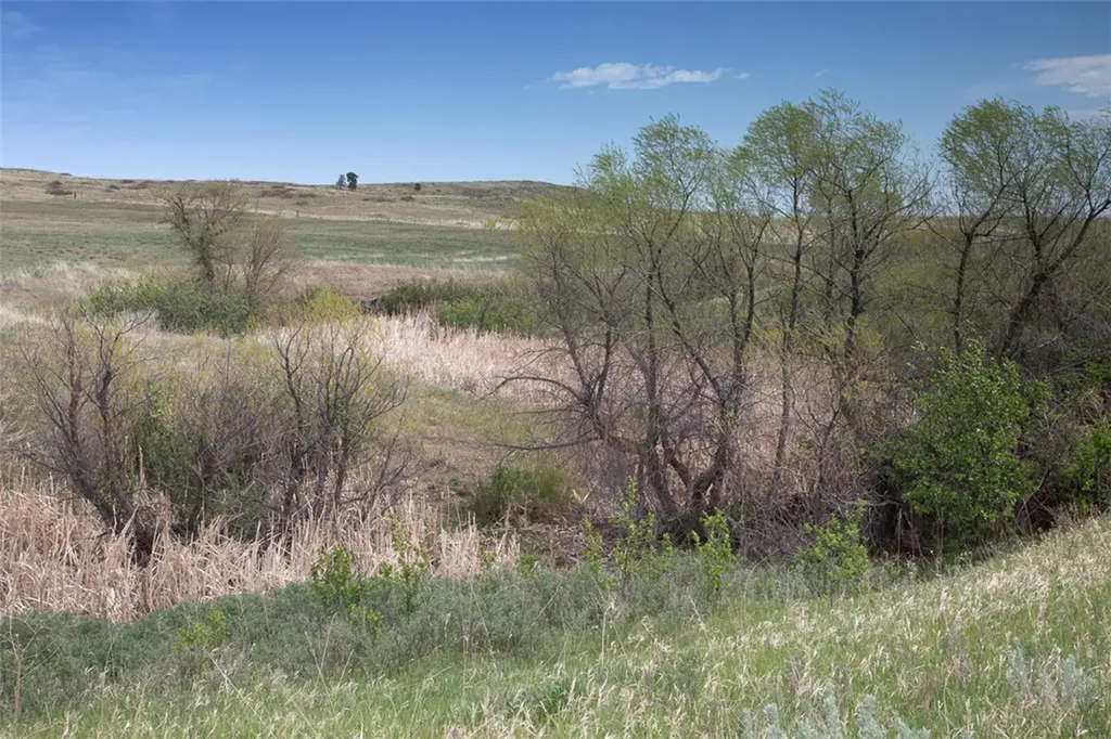 20 Diamond Ranch Lane Joliet MT 59041