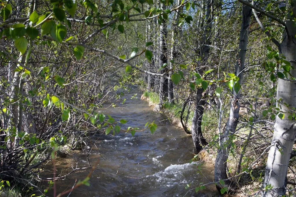 Lot 4 Bannock Circle Red Lodge MT 59068