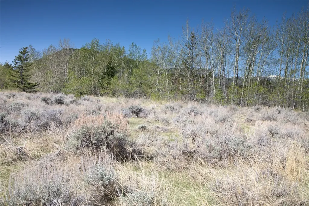 Lot 4 Bannock Circle Red Lodge MT 59068